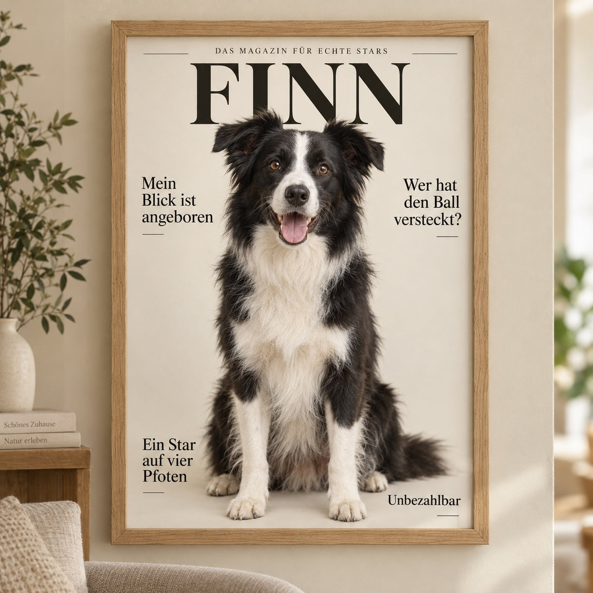 Border Collie Portrait und Geschenke