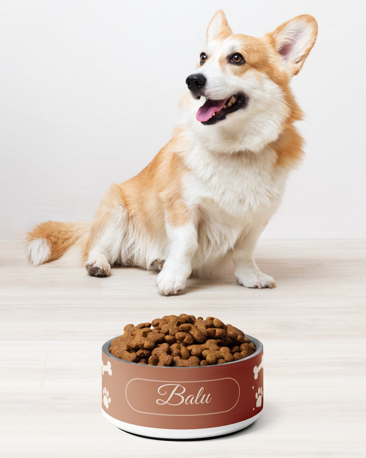 Futternapf mit Knochen und Pfoten und Namen Balu, Corgi sitzt daneben
