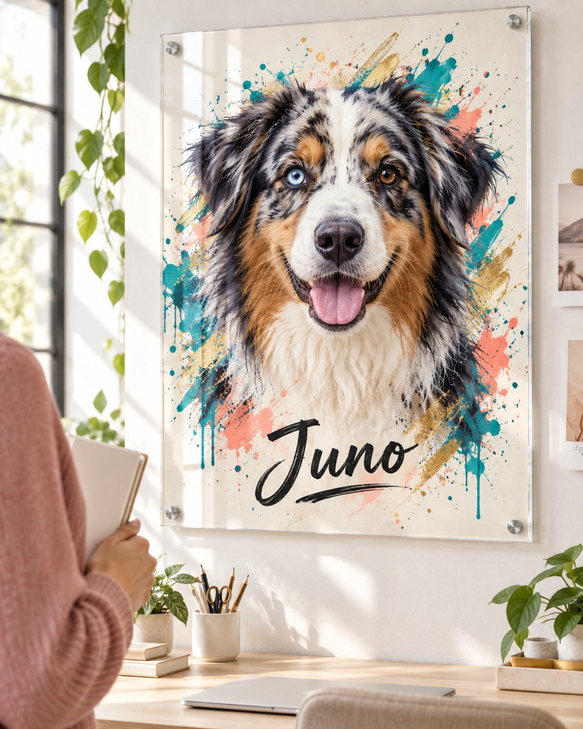 Hundeportrait auf Acrylglas mit Australian Shepherd im Street-Art-Stil