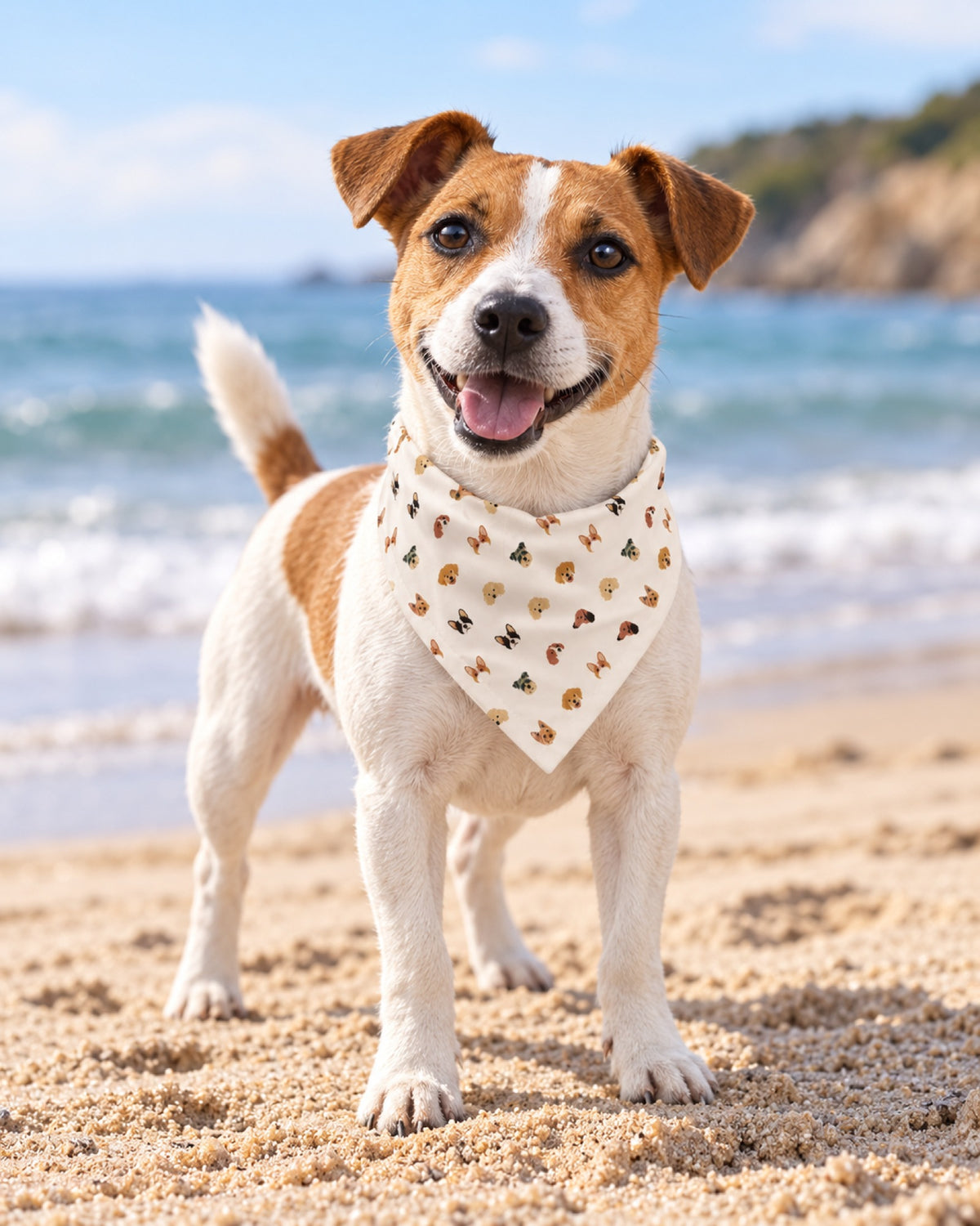 Jack Russell steht am Sandstrand und trägt das cremefarbene Halstuch mit vielen kleinen Hundeköpfen
