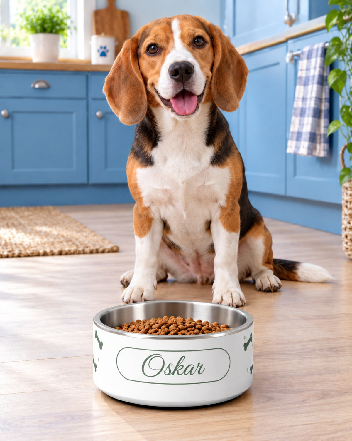 Beagle sitzt in der Küche vor weiß bedrucktem Napf mit Knochen in Salbeigrün und dem Namen Oskar