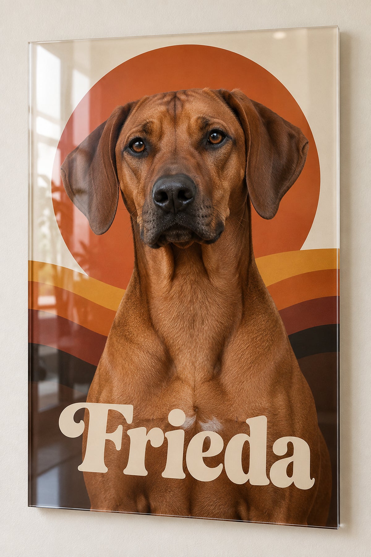 Dog portrait on acrylic glass, example: Rhodesian Ridgeback named Frieda