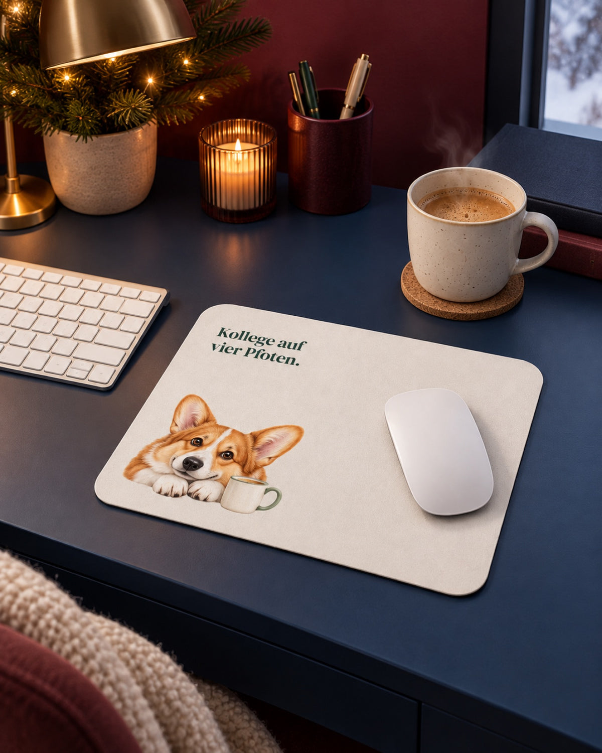 Cremefarbenes Corgi Mauspad Kollege auf vier Pfoten auf einem dunkelblauen Schreibtisch vor weinroter Wand im Winter