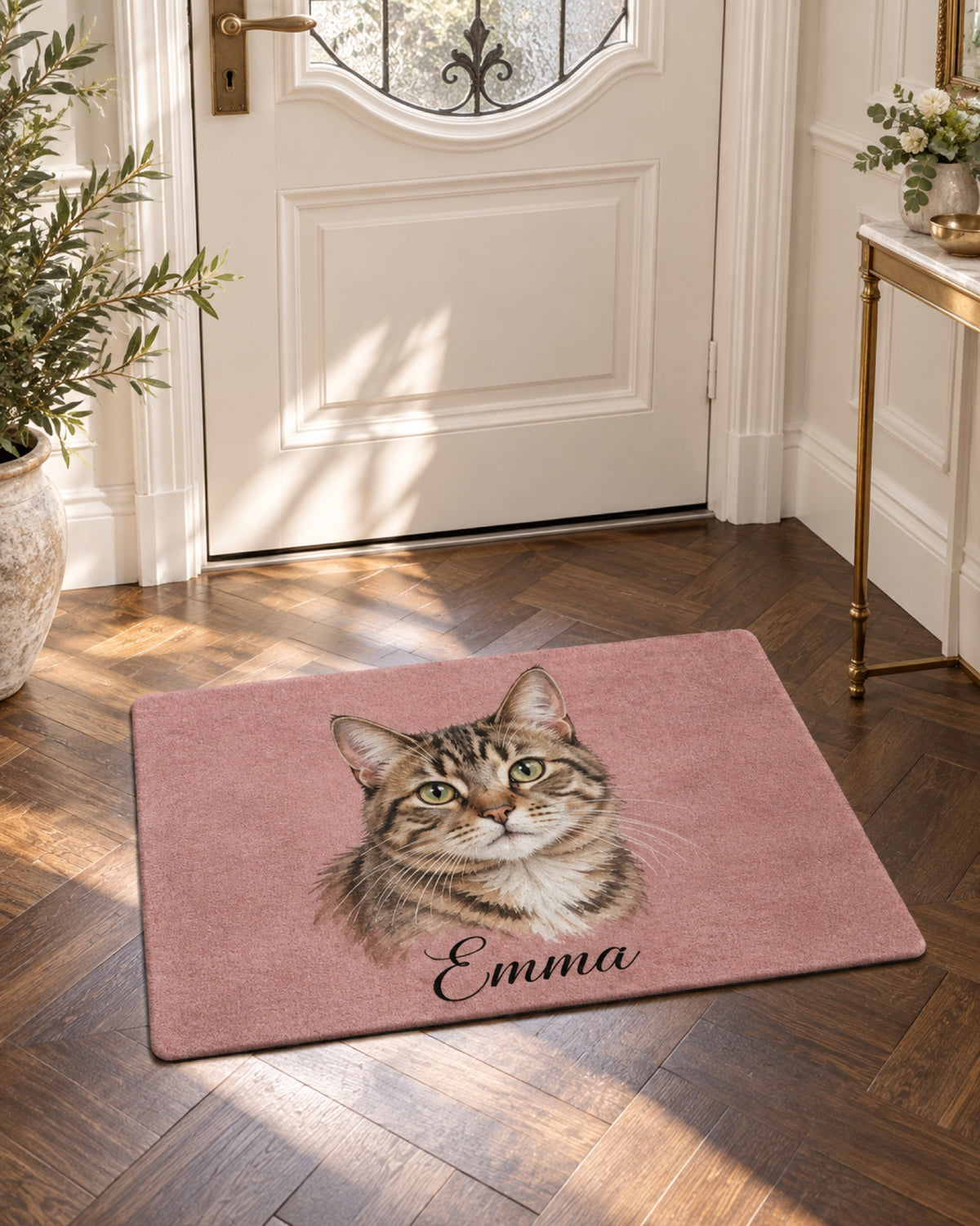 Roséfarbene Fußmatte mit Tigerkatze Emma im winterlichen Altbau Flur