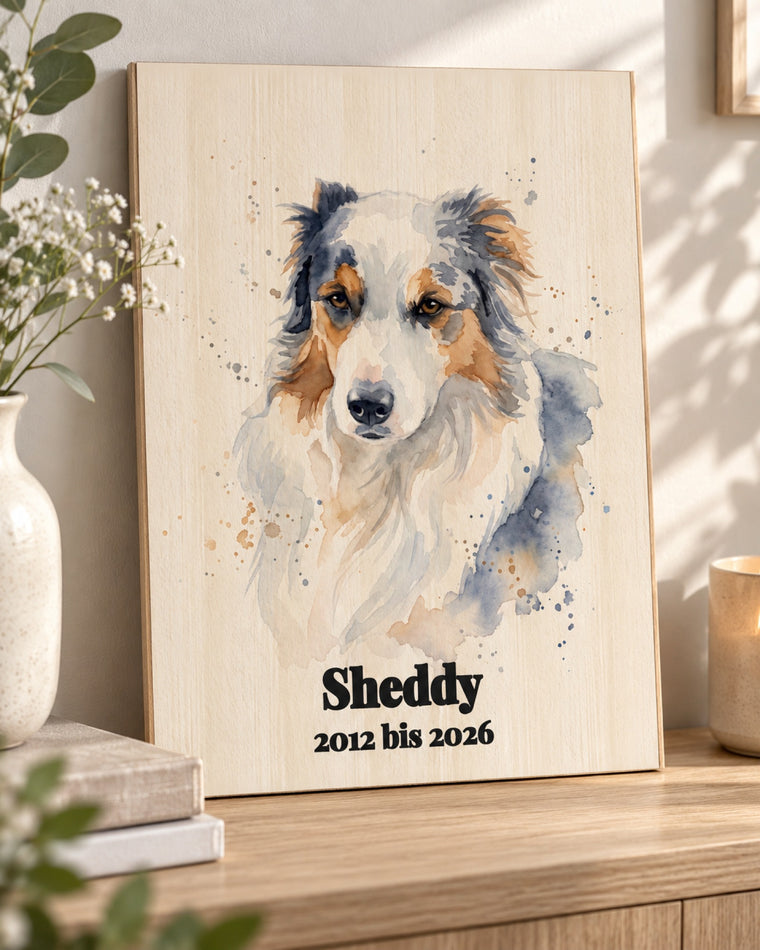 Gedenkbild auf Holz mit Australian Shepherd im Aquarell-Stil, Name Sheddy und 2012 bis 2026