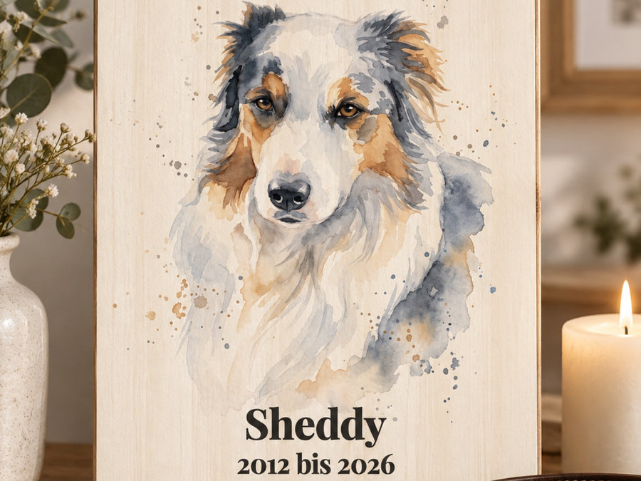 Gedenkbild auf Holz mit Australian Shepherd Sheddy im Aquarell-Stil, 2012 bis 2026, mit Kerze und Halsband