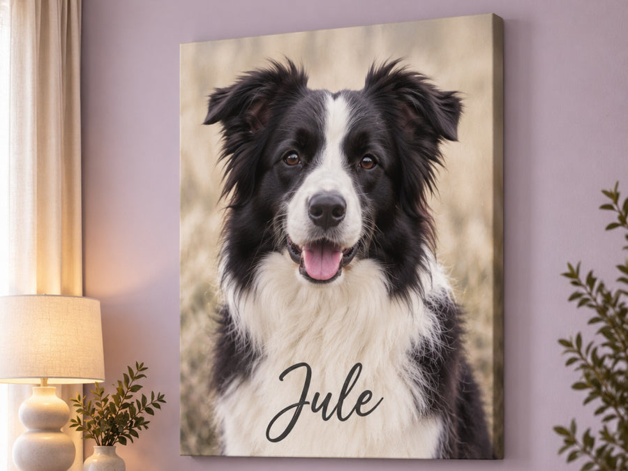 Wandbild auf Leinwand mit Border Collie als Originalfoto ohne Stilfilter und Namen Jule an der Wohnzimmerwand