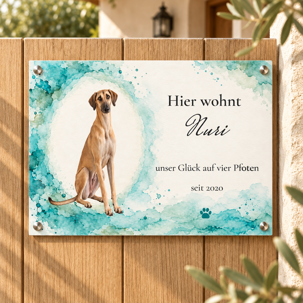 Türkisfarbenes Foto-Türschild mit Sloughi Nuri, großer Namensschrift und Pfote am Holztor