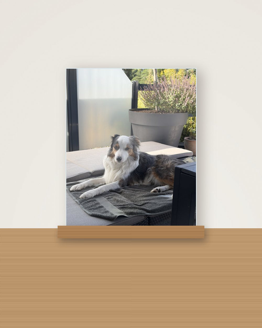 Hundeportrait als Original als Acryl-Aufsteller, Beispiel