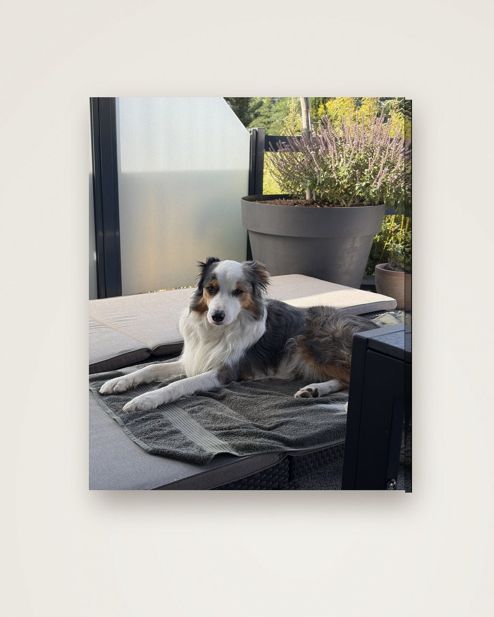 Hundeportrait als Original auf Leinwand, Beispiel