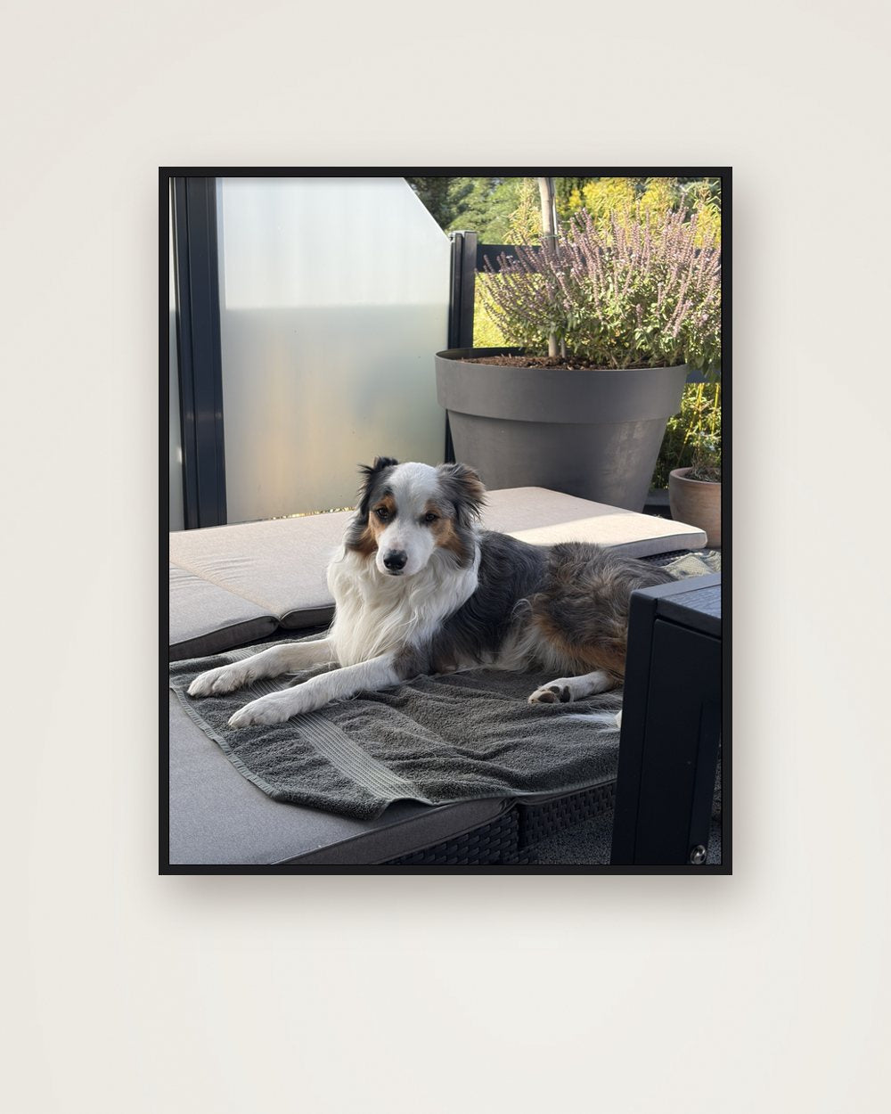 Hundeportrait als Original als Poster im Metallrahmen, Beispiel