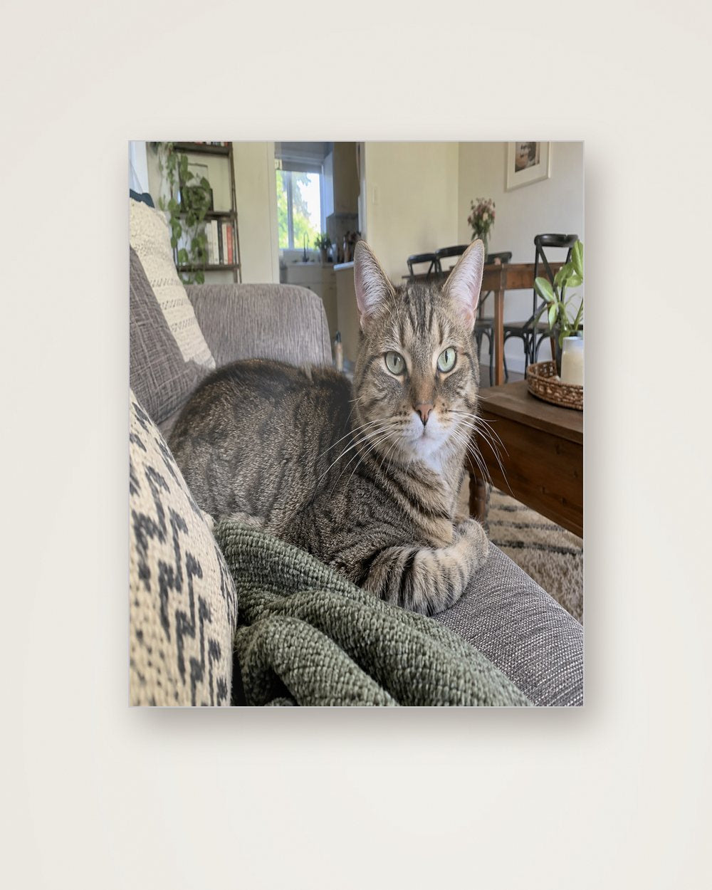 Katzenportrait als Original auf Aluminium, Beispiel