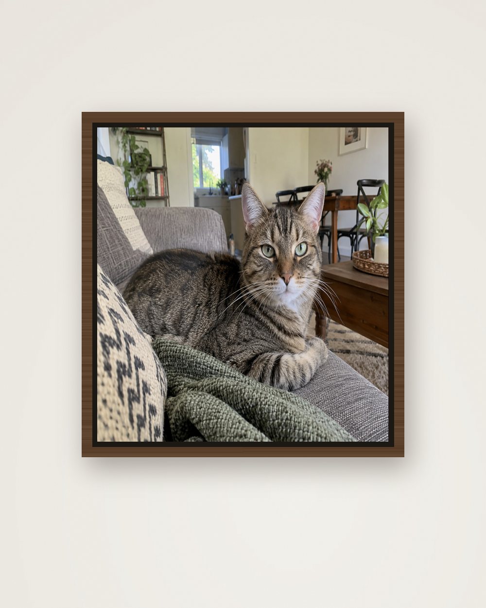 Katzenportrait als Original auf Leinwand mit Rahmen, Beispiel