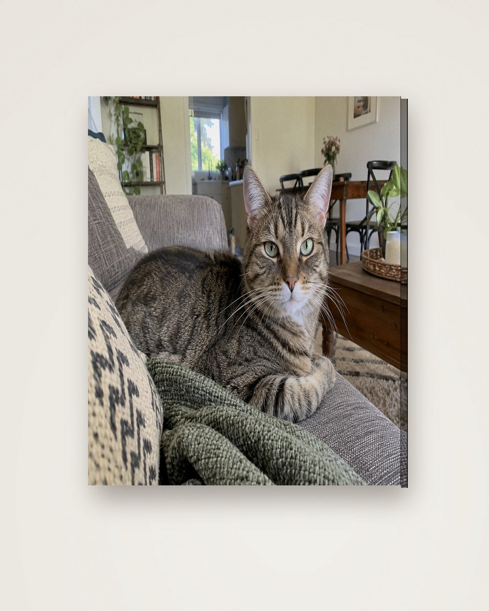 Katzenportrait als Original auf Leinwand, Beispiel