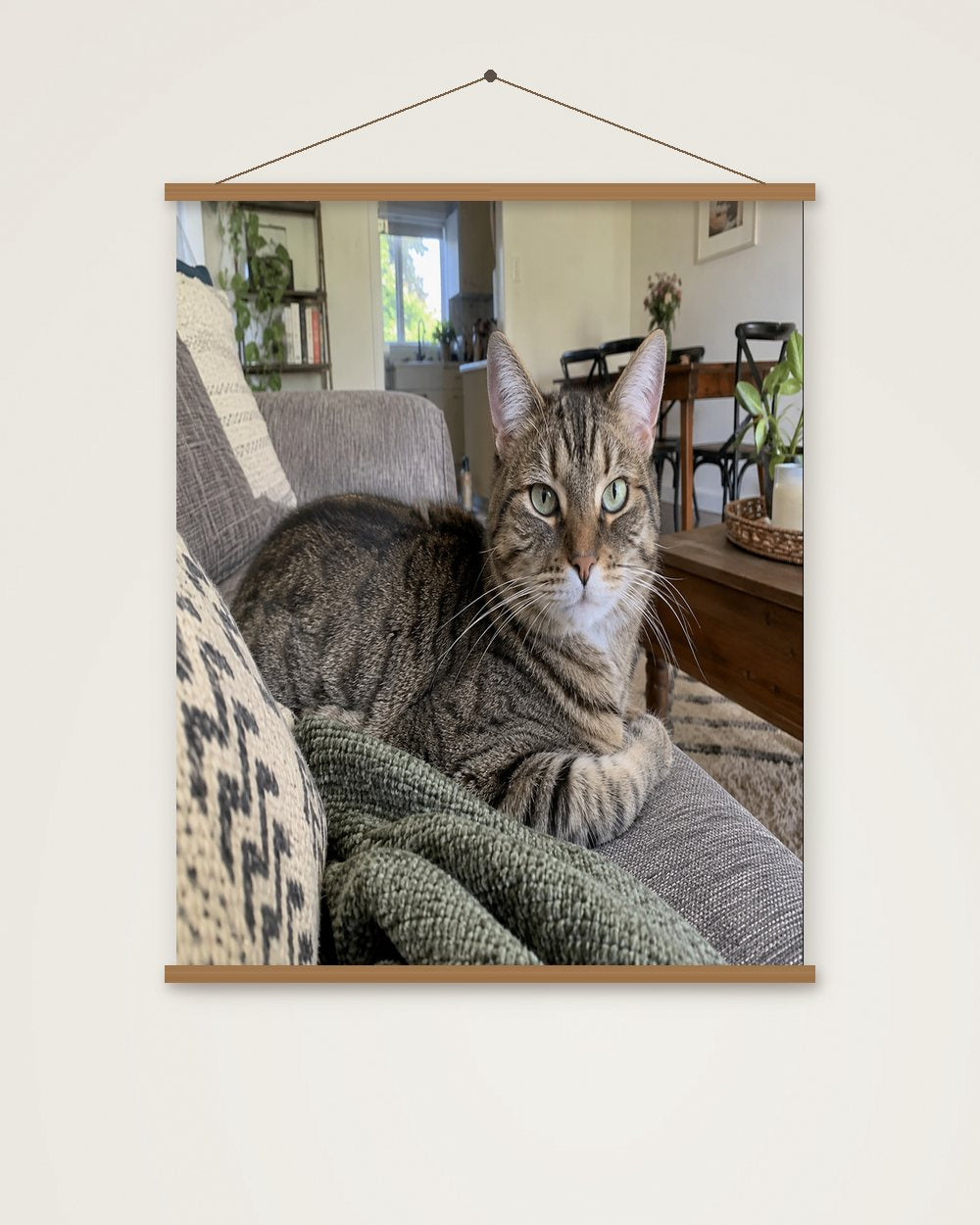 Katzenportrait als Original als Poster mit Aufhängung, Beispiel