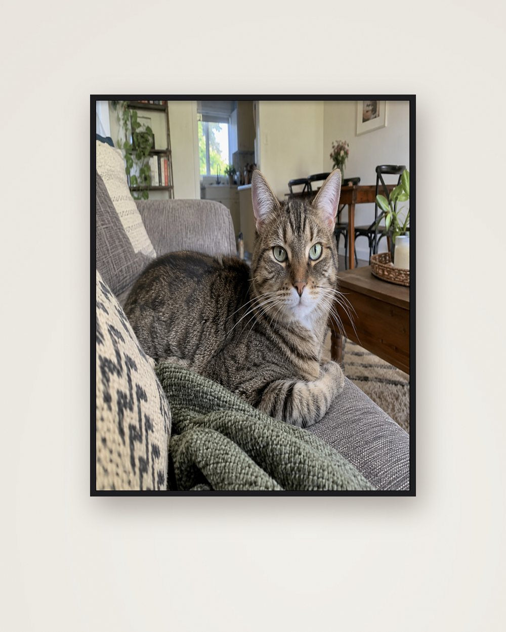 Katzenportrait als Original als Poster im Metallrahmen, Beispiel
