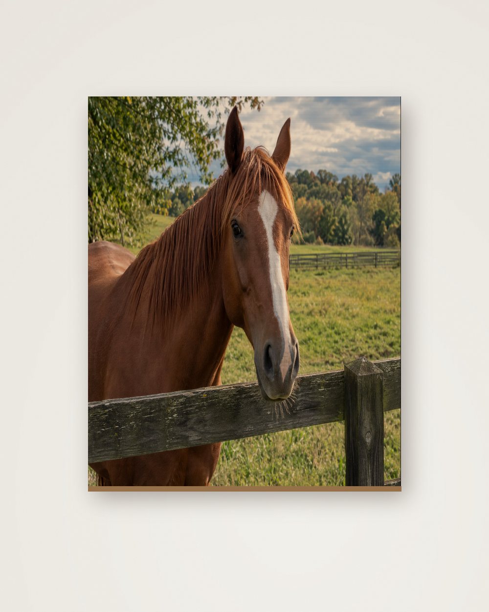 Pferdeportrait als Original auf Holz, Beispiel