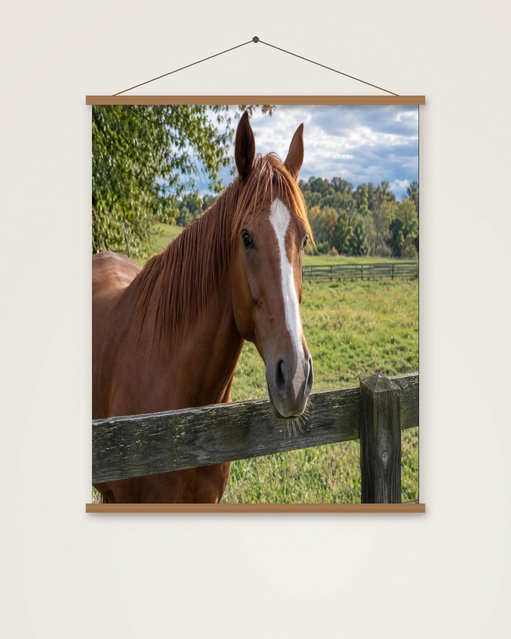 Pferdeportrait als Original als Poster mit Aufhängung, Beispiel