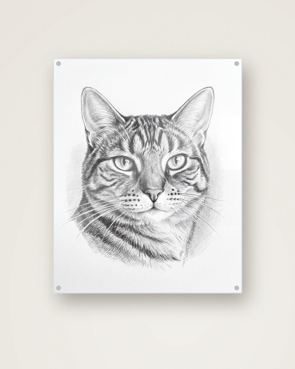 Katzenportrait im Stil Sketch auf Acrylglas, Beispiel