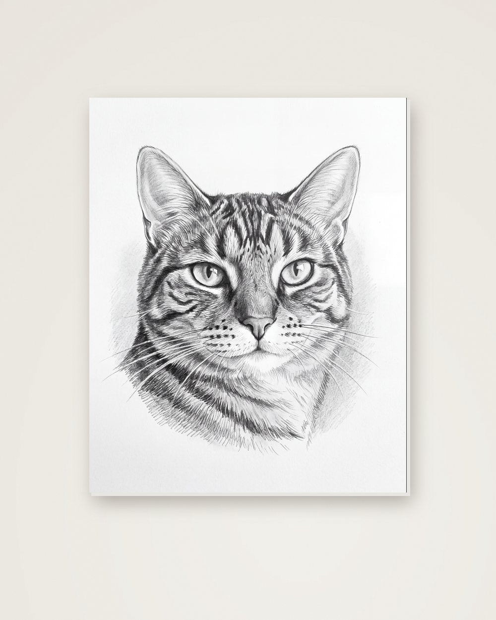 Katzenportrait im Stil Sketch auf Hartschaumplatte, Beispiel