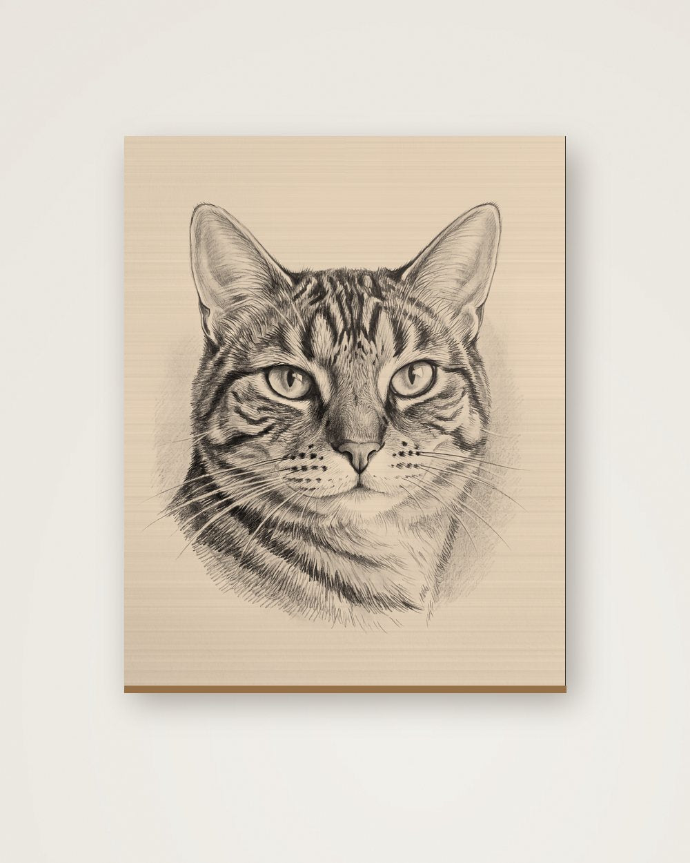 Katzenportrait im Stil Sketch auf Holz, Beispiel