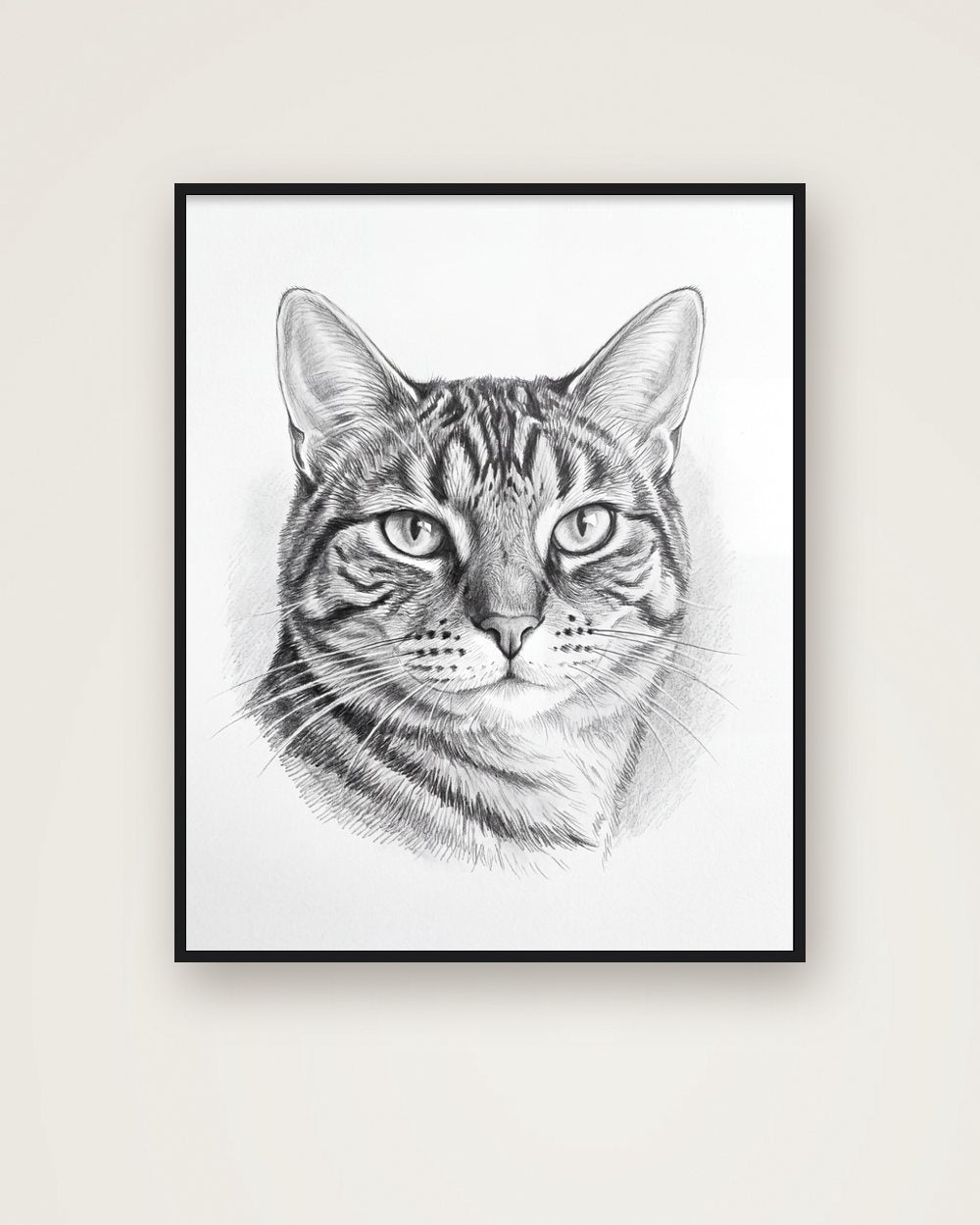 Katzenportrait im Stil Sketch als Poster im Metallrahmen, Beispiel